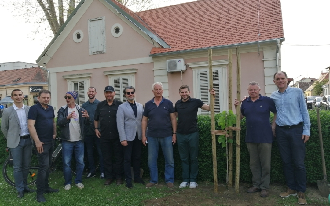 Drvo prijateljstva i u Bjelovaru